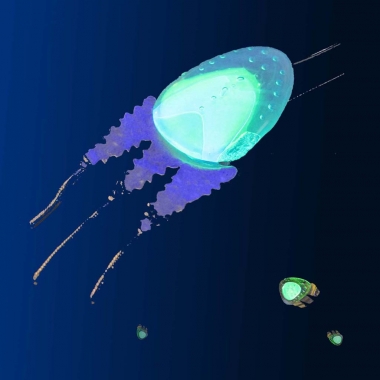 UV medúza