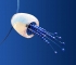 Ezüst medúza nyakék lapis lazulival