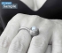 Ring with Japanese Akoya pearl